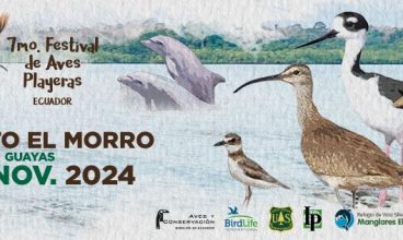 ¡Prepárate para el 7mo Festival de Aves Playeras de Ecuador!